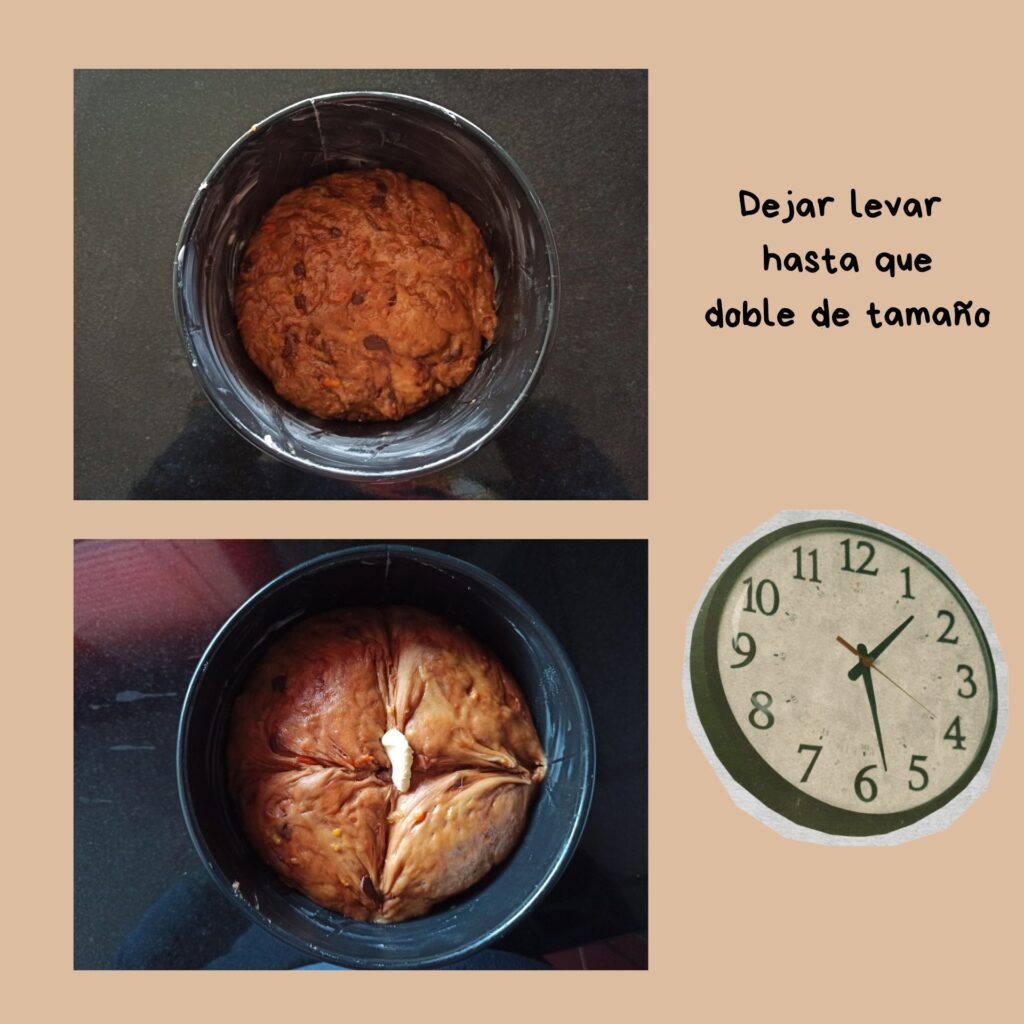 Imagen que muestra la masa de panettone dentro del molde antes y después de levar hasta doblar su tamaño.